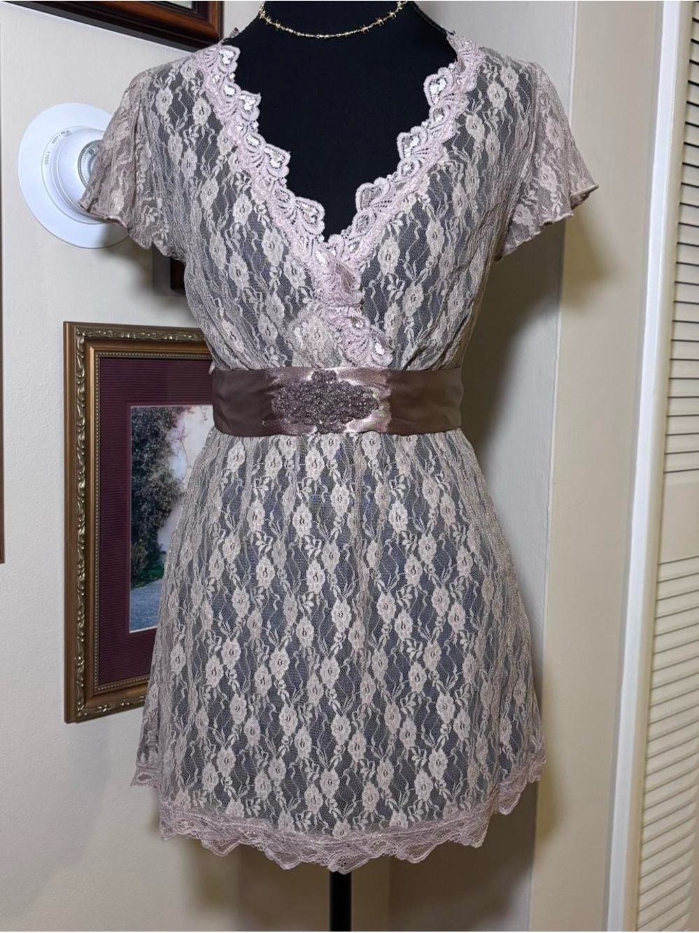 Vanity Blush Lace V-Neck Chemise with Satin Waist Sash